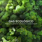EcoGas