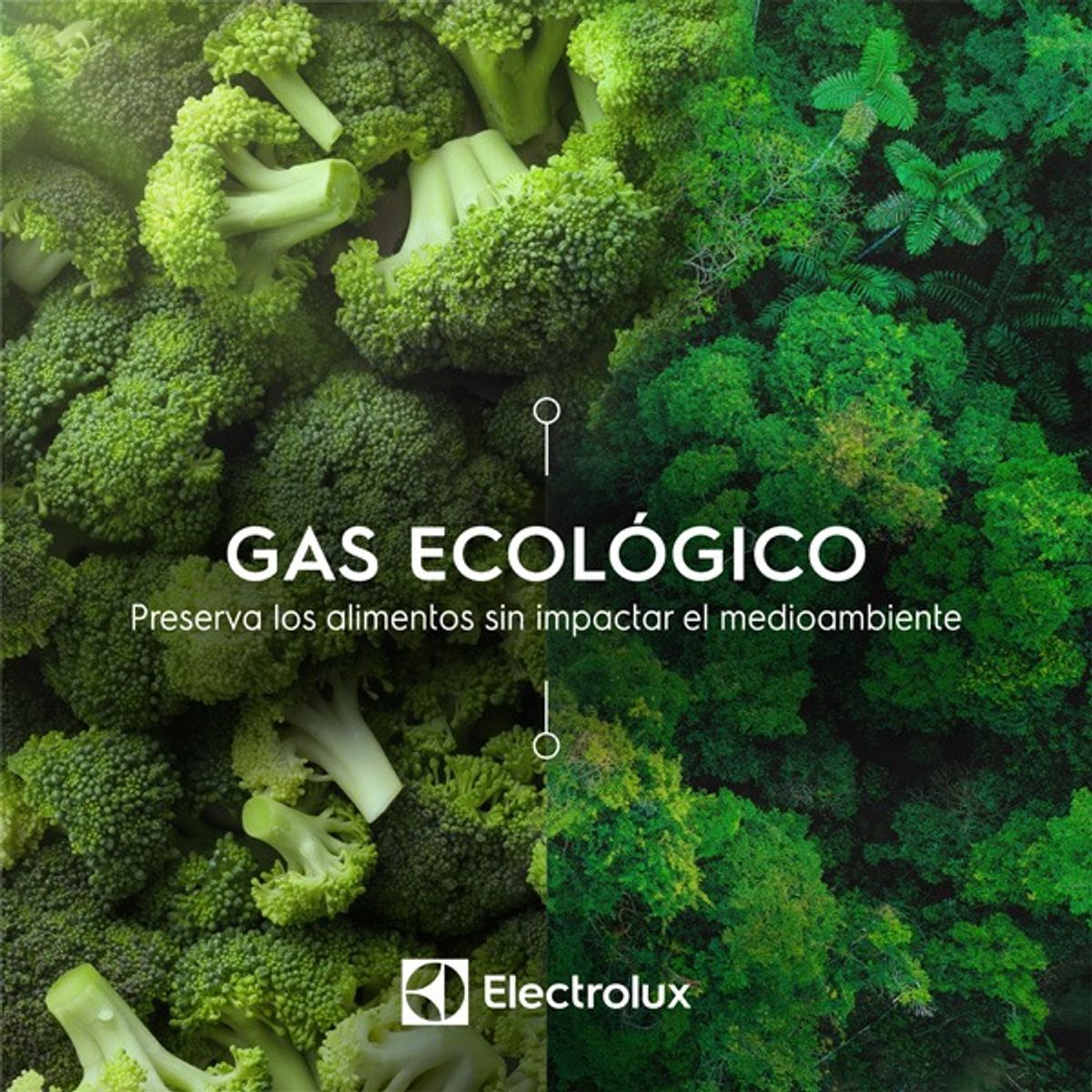 Refrigerator_EFUY16P3HVG_R600_Electrolux_Logotipo_Spanish_600x600-600x600