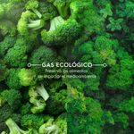 Refrigerator_R600_Electrolux_Spanish-1000x1000.raw