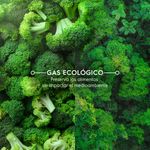 Refrigerator_R600_Electrolux_Spanish-1000x1000.raw