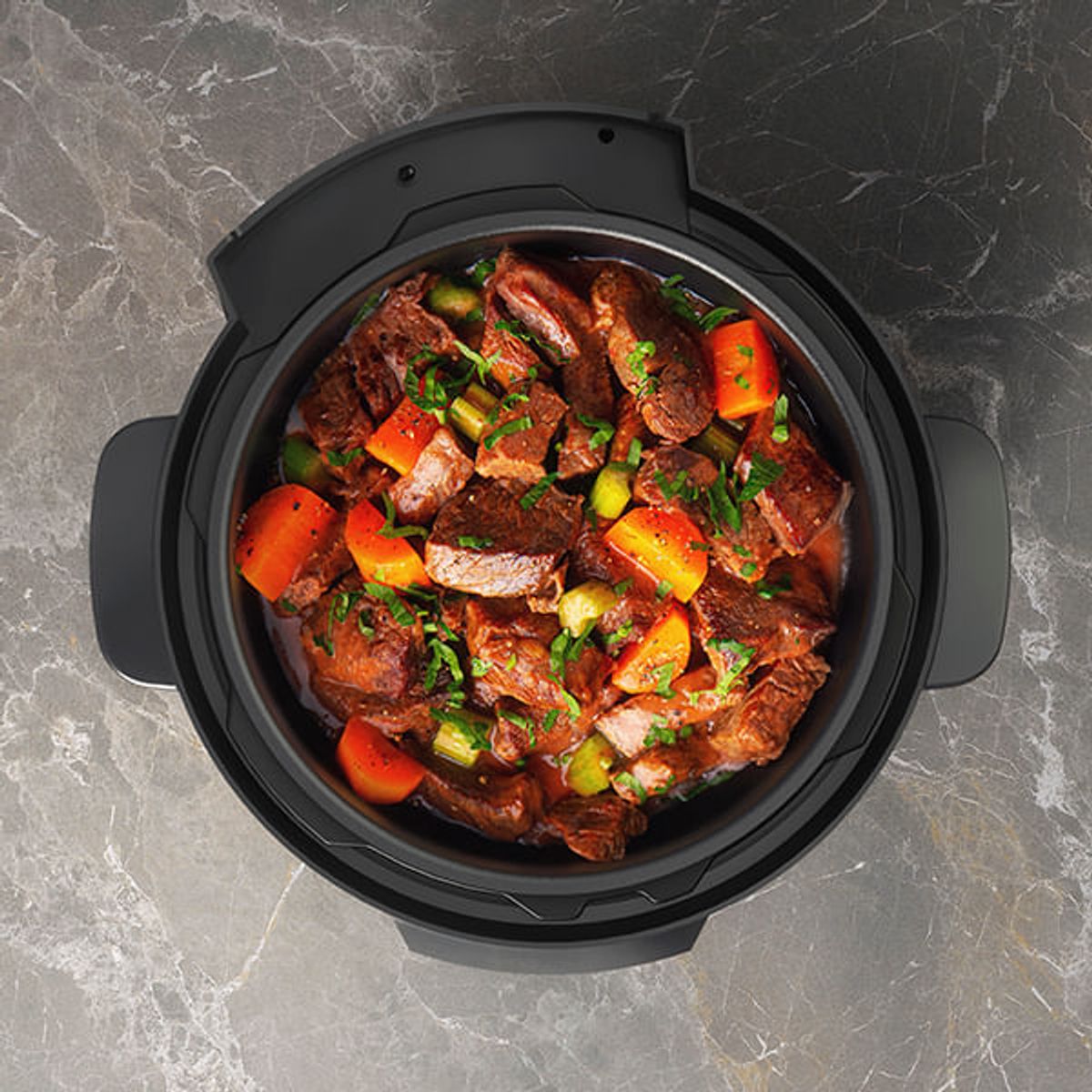 Electric_Pressure_Cooker_PCC20_TopView_Opened_Electrolux_Peru_600x600
