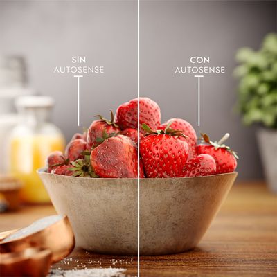 Refrigerator_Replace_Autosense_Electrolux_Spanish-1000x1000.raw
