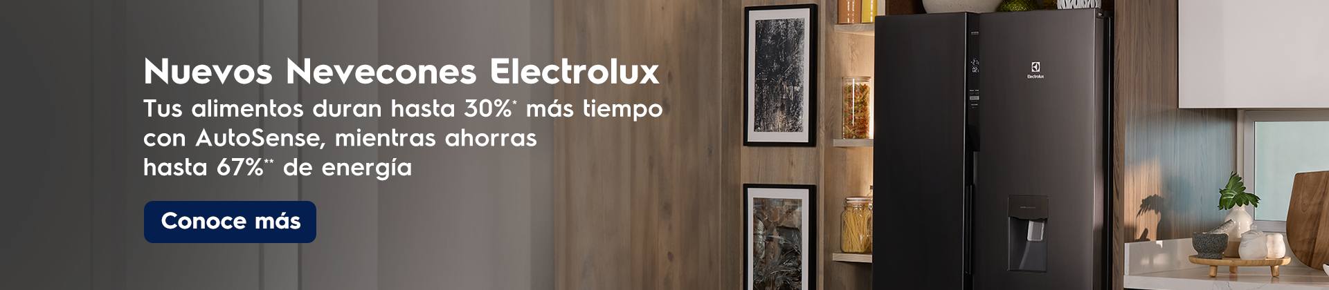 Nuevos Nevecones Electrolux